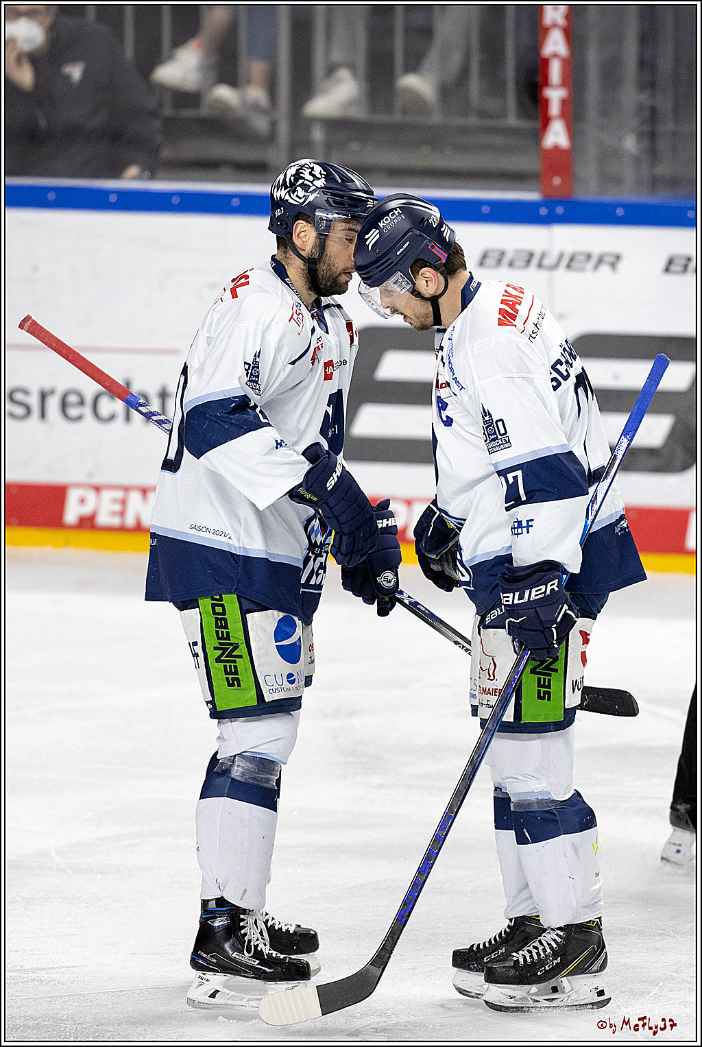 PENNY DEL;  Koelner Haie - Straubing Tigers; Koeln, 11.03.2022